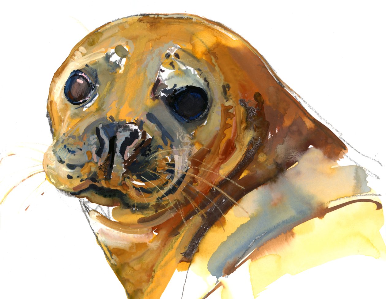 Ginger Pup, Westcove, 2023 od Mark Adlington