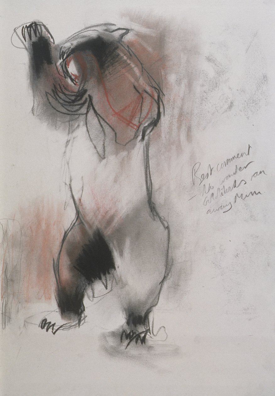 Grizzly, 1995 (uhlí, grafit a konte na papíře) od Mark Adlington