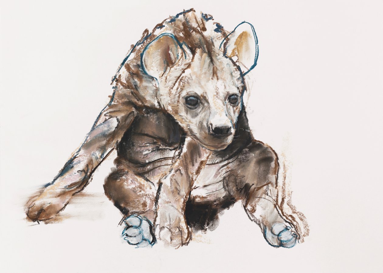 Hyaena Pup (hlavou dolů), 2019 od Mark Adlington