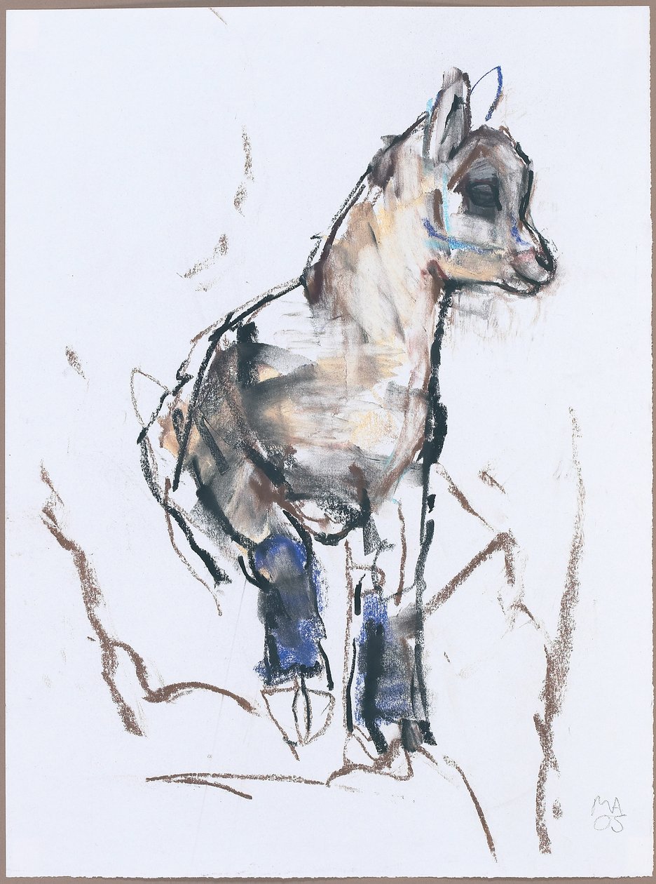 Ibex Kid (uhlí a konte na papíře) od Mark Adlington