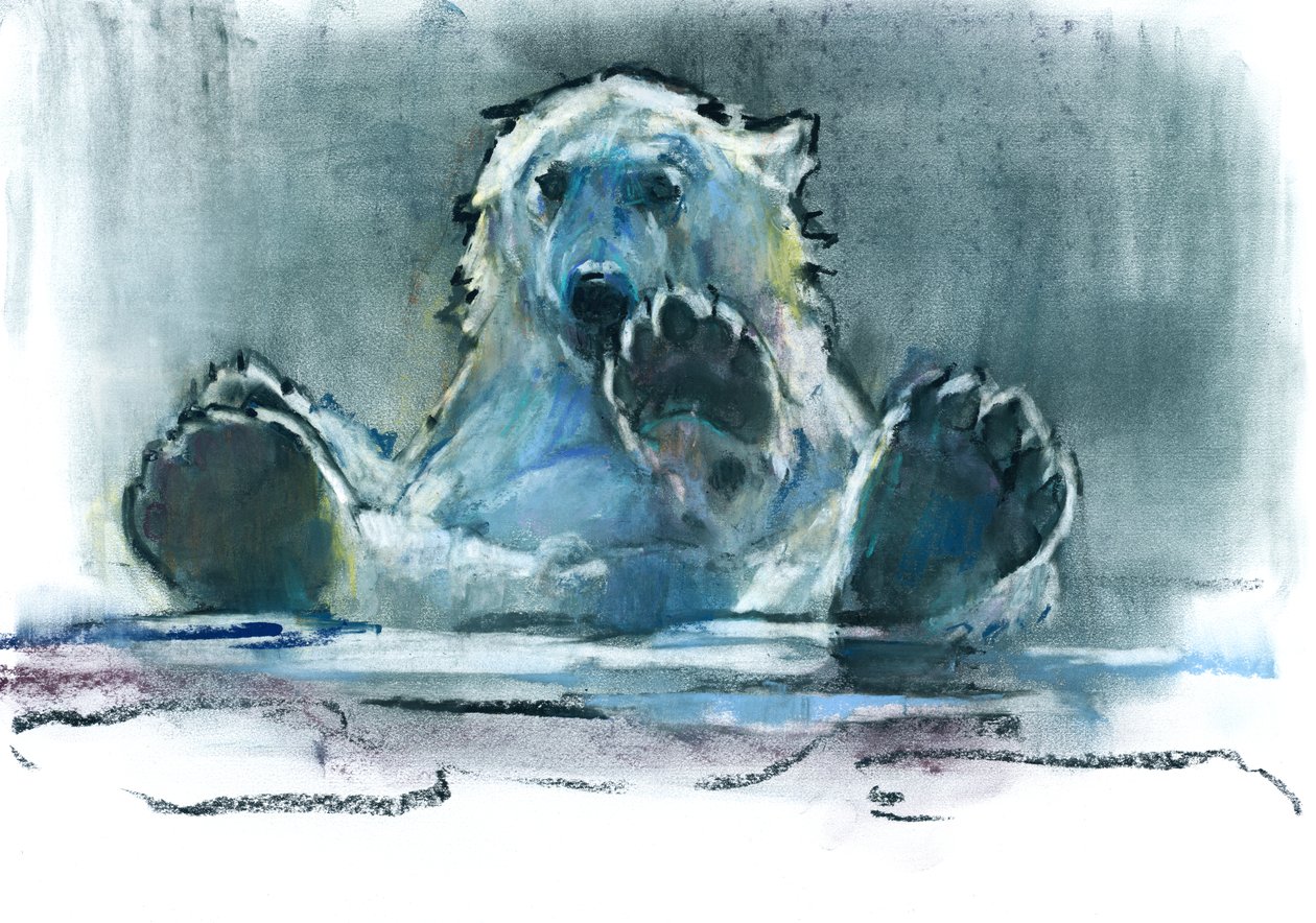 Ledová koupel, 2016, (kontura a pastel na papíře) od Mark Adlington