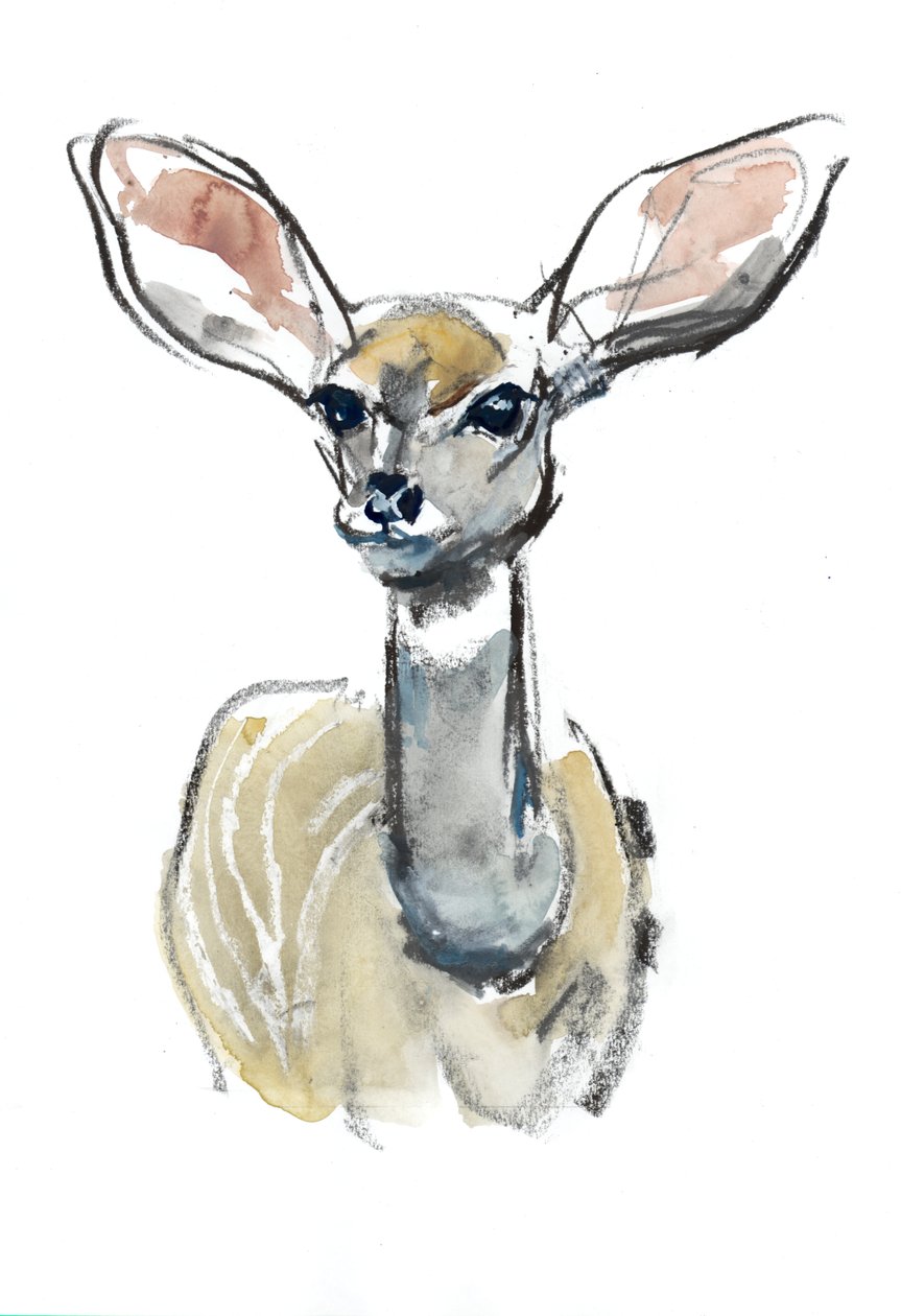 South Fawn, Sarara, 2018 od Mark Adlington