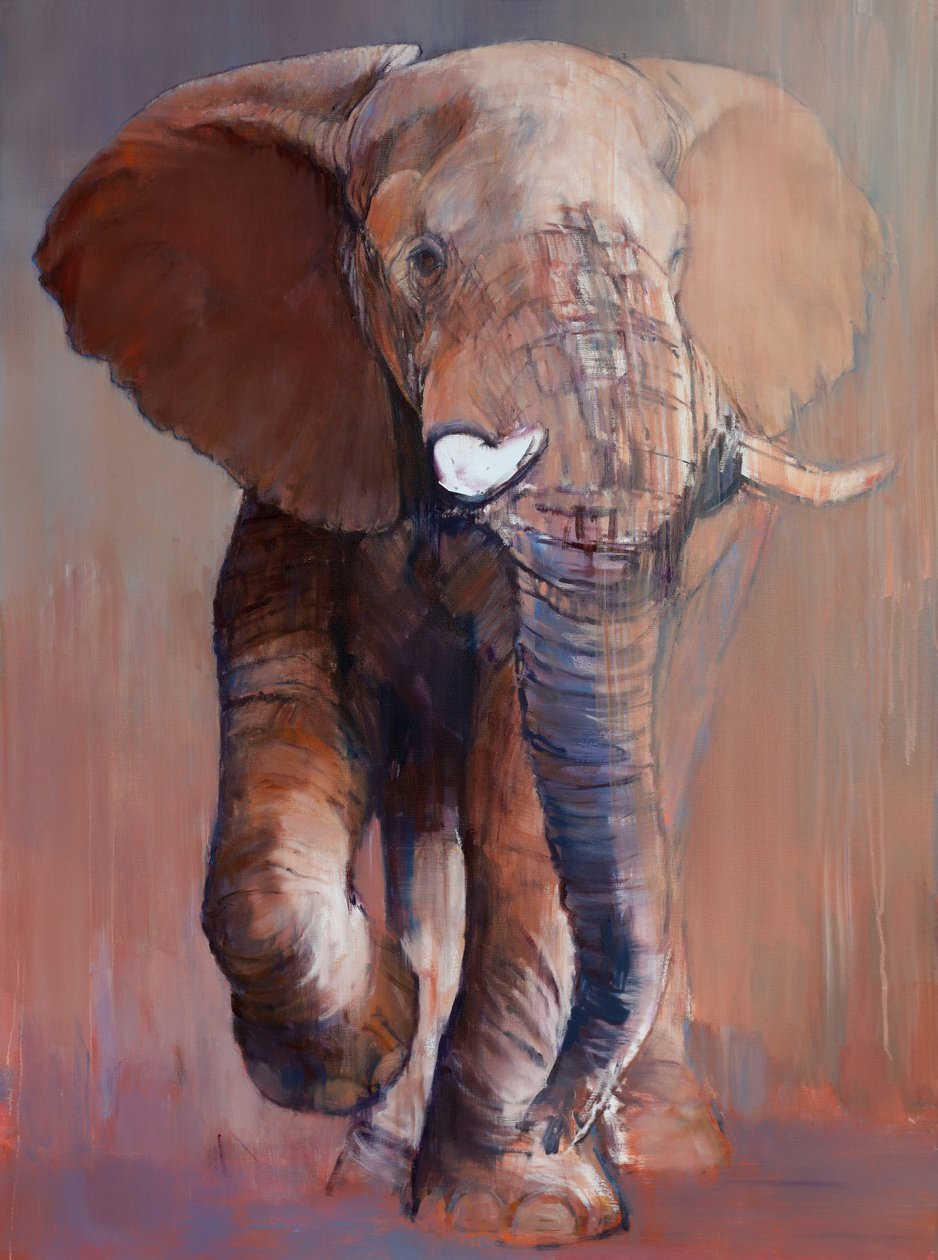 Loisaba Bull, 2018 od Mark Adlington