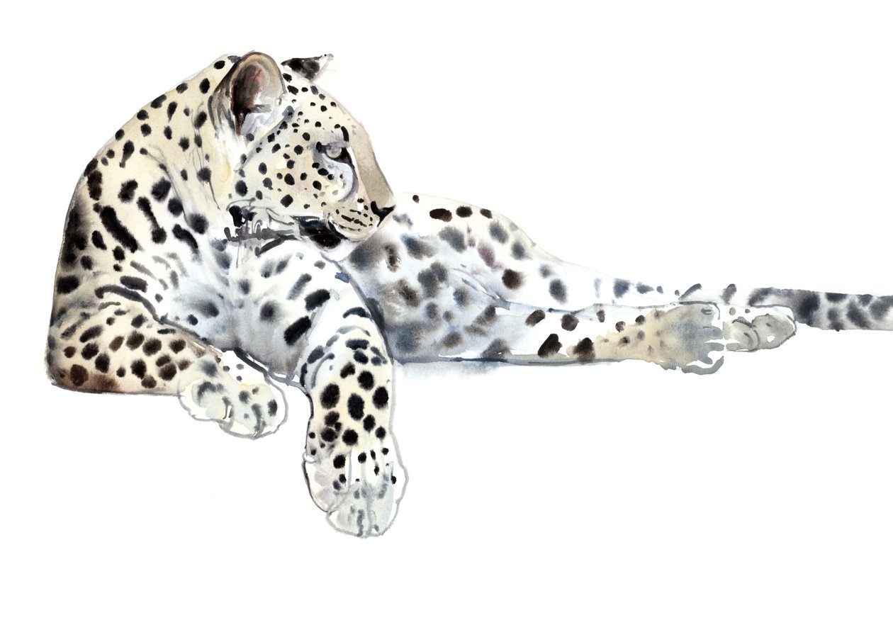 Long (arabský leopard), 2015, (akvarel a kvaš na papíře) od Mark Adlington