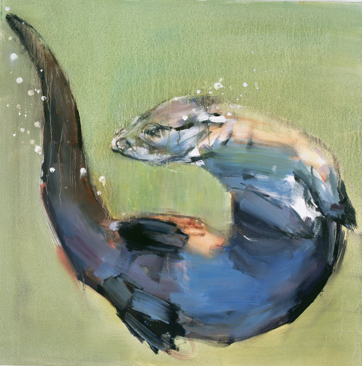 Vydra, 2003 od Mark Adlington