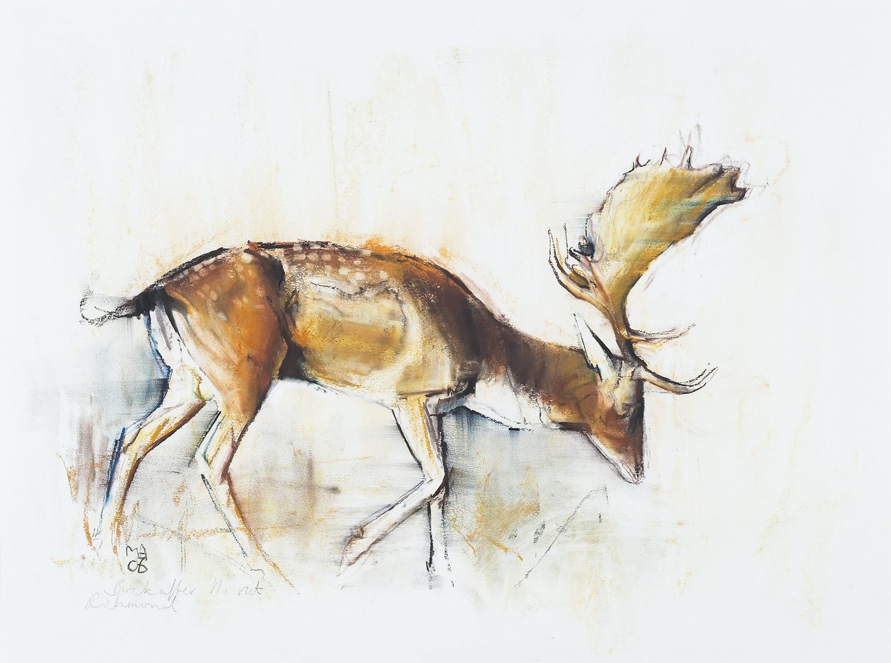 Pisanello Buck, 2006 (charcoal und conte na papíře) od Mark Adlington