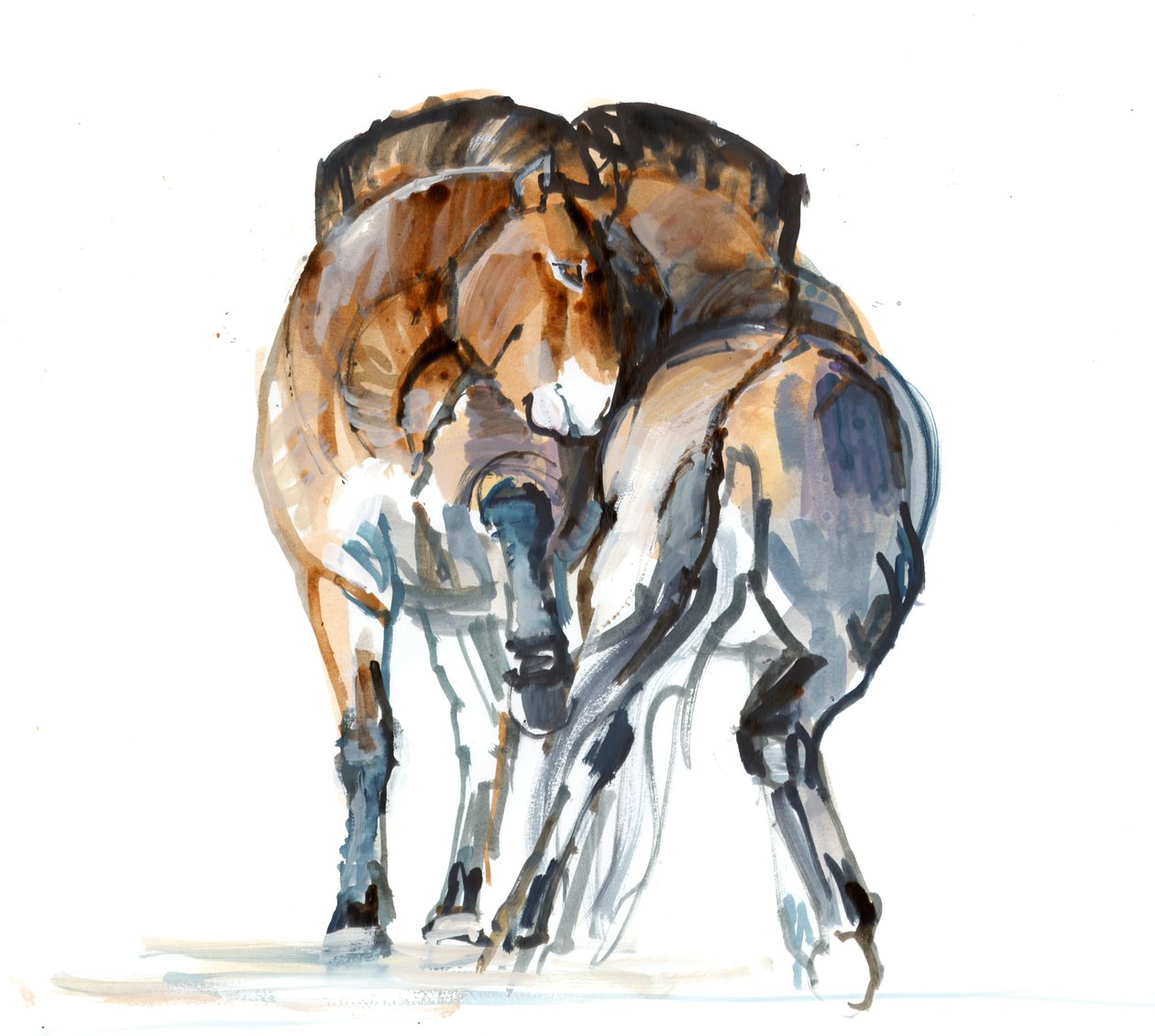 Power Dance (Przewalski), 2013 (sennelier inkoust, akvarel a kvaš) od Mark Adlington