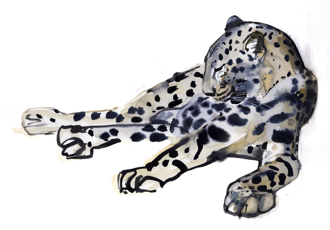 Ležící (arabský leopard), 2008 od Mark Adlington