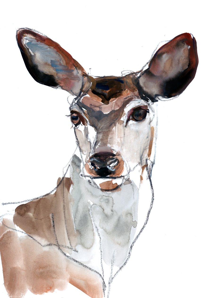 Red Deer, 2023 od Mark Adlington