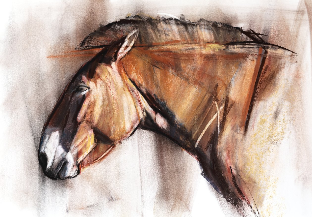 Odpočívající kůň, 2013, (pastel a dřevěné uhlí na papíře) od Mark Adlington