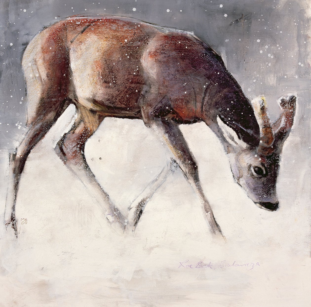 Roe Buck, Winter, 2000 (kombinovaná média na papíře) od Mark Adlington