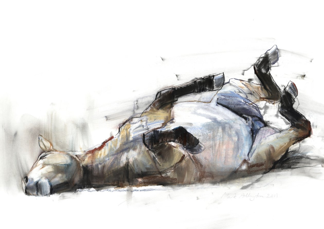 Rolling Rolling Rolling, 2011, (uhl, conté a pastel na papíře) od Mark Adlington