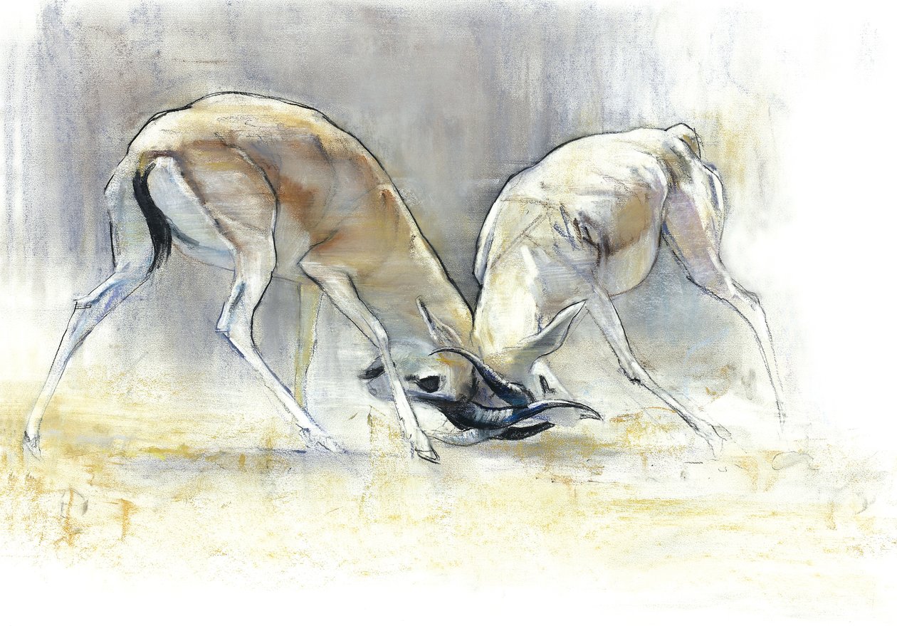 Sand Gazelles, 2009 (conte & dřevěné uhlí na papíře) od Mark Adlington