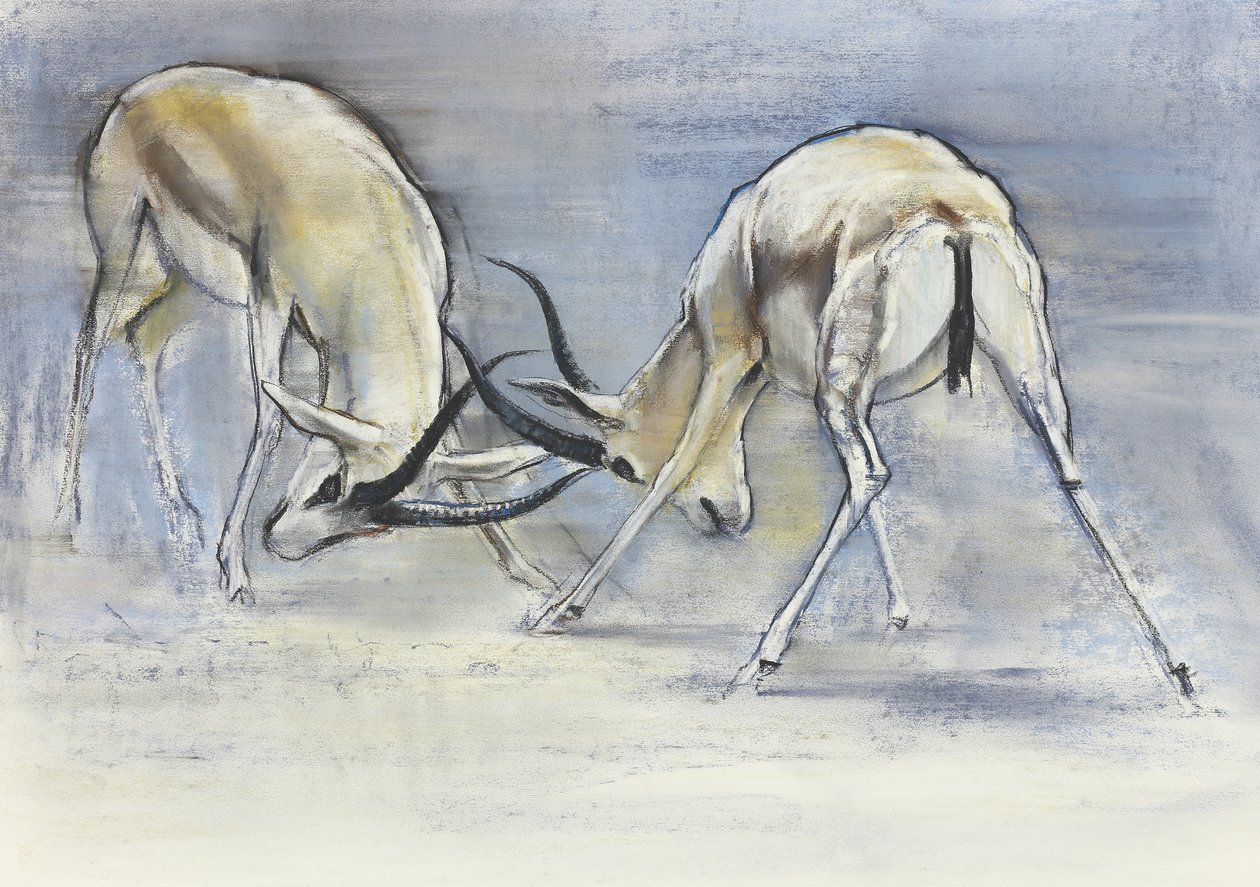 Písečné gazely, 2009 (conte a uhel na papíře) od Mark Adlington