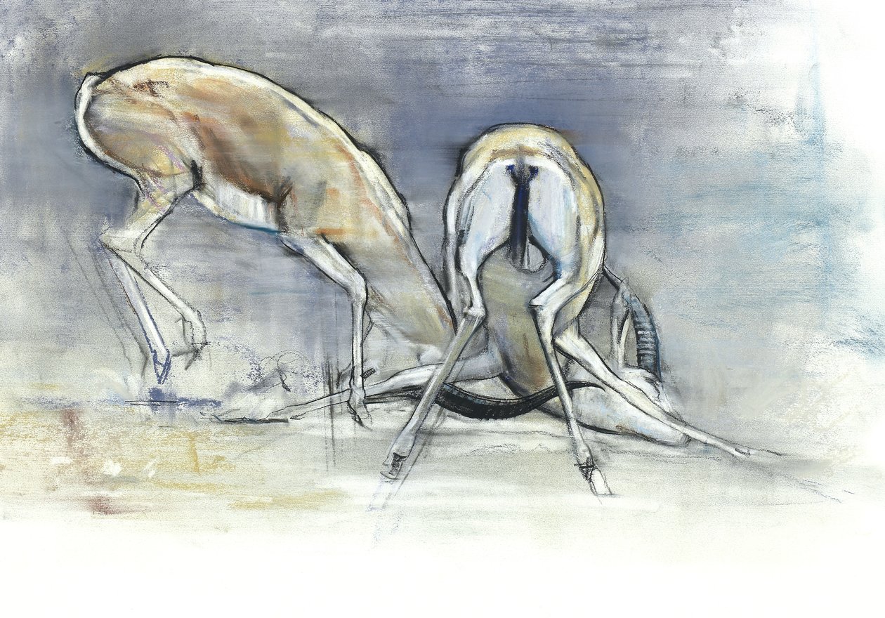 Sand Gazelles, 2009 (conte a dřevěné uhlí na papíře) od Mark Adlington