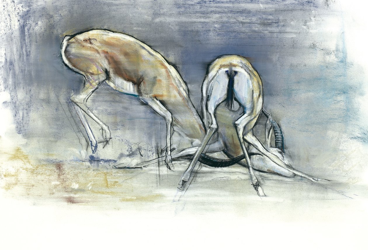 Písečné gazely, 2009 (conte a uhel na papíře) od Mark Adlington
