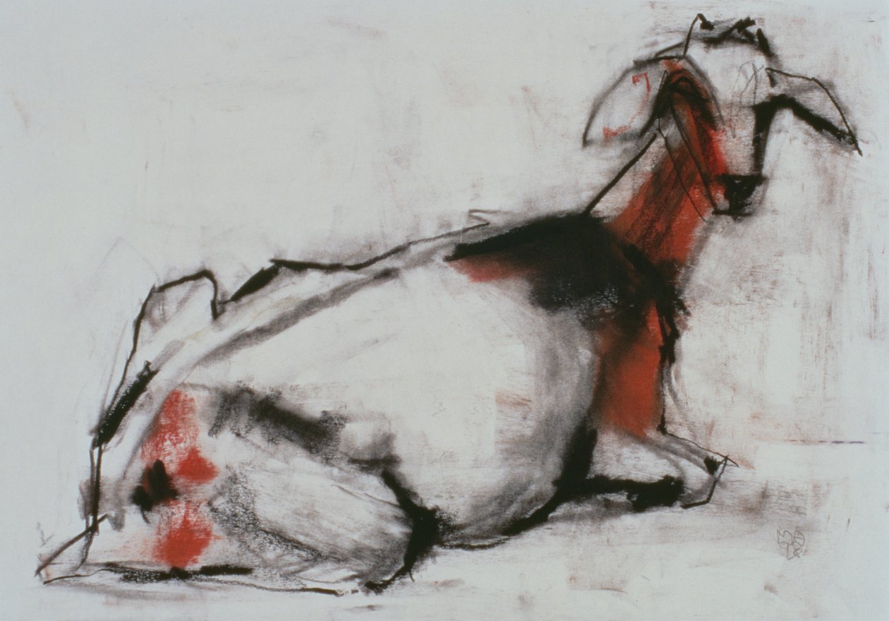 Sedící koza, 1998 (conte a dřevěné uhlí na papíře) od Mark Adlington