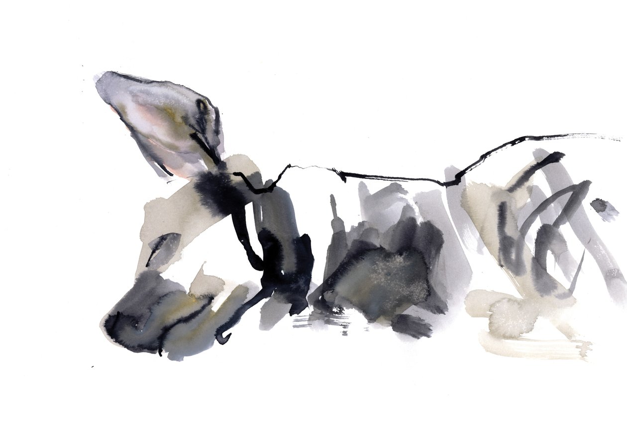Spící hyaena, 2010, (akvarel na papíře) od Mark Adlington