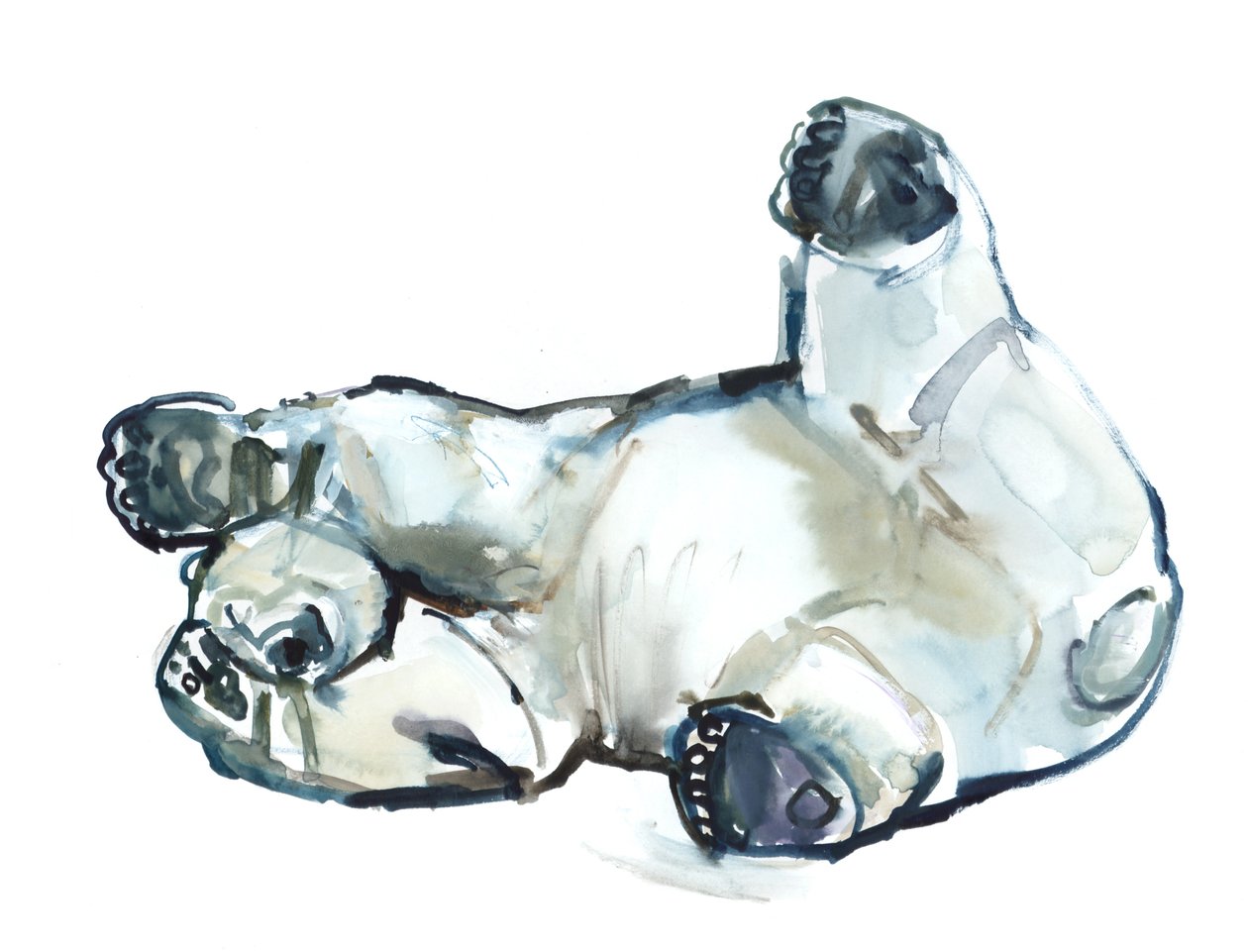 Sněhový potěr (Lední medvěd), 2013 (akvarel a kvaš na papíře) od Mark Adlington
