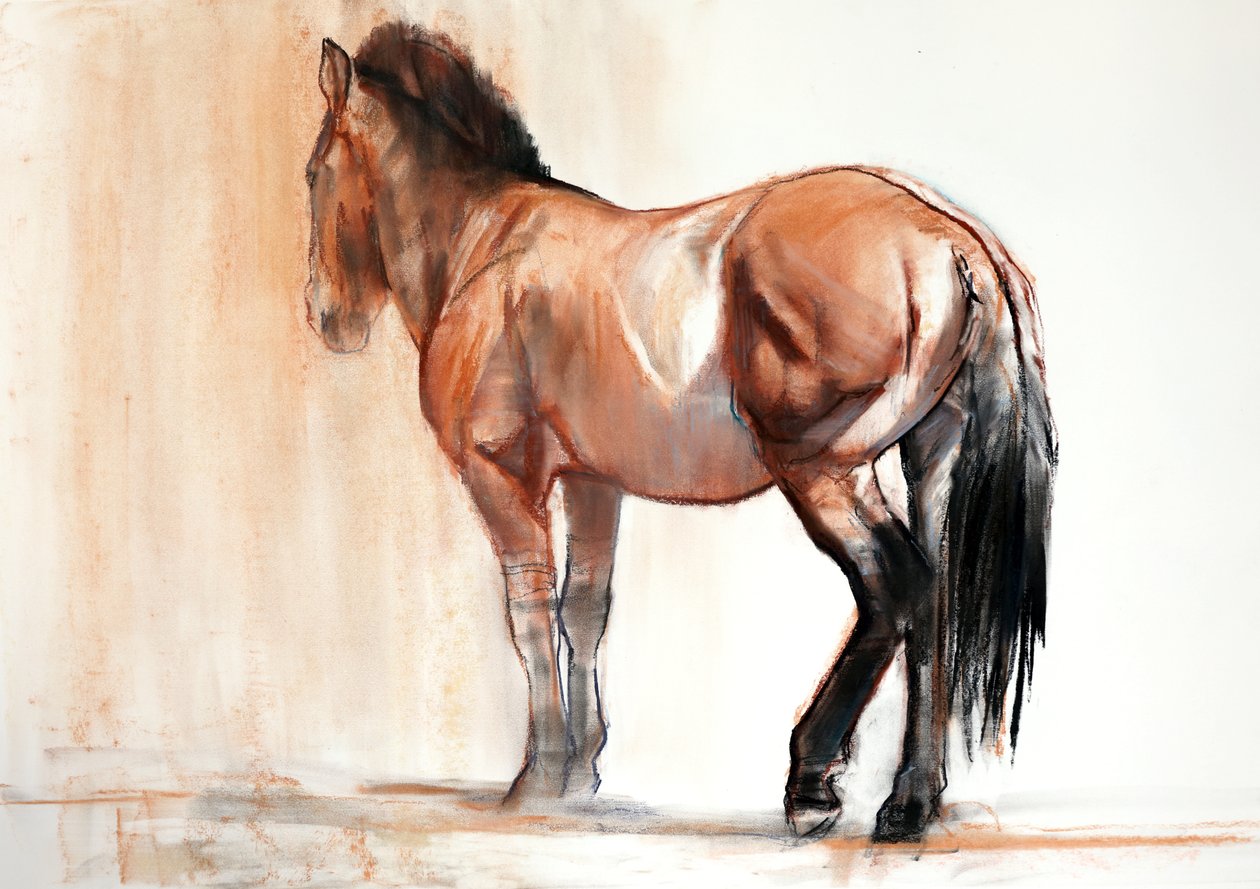 Stojan (Przewalski), 2013, (pastel a uhel na papíře) od Mark Adlington