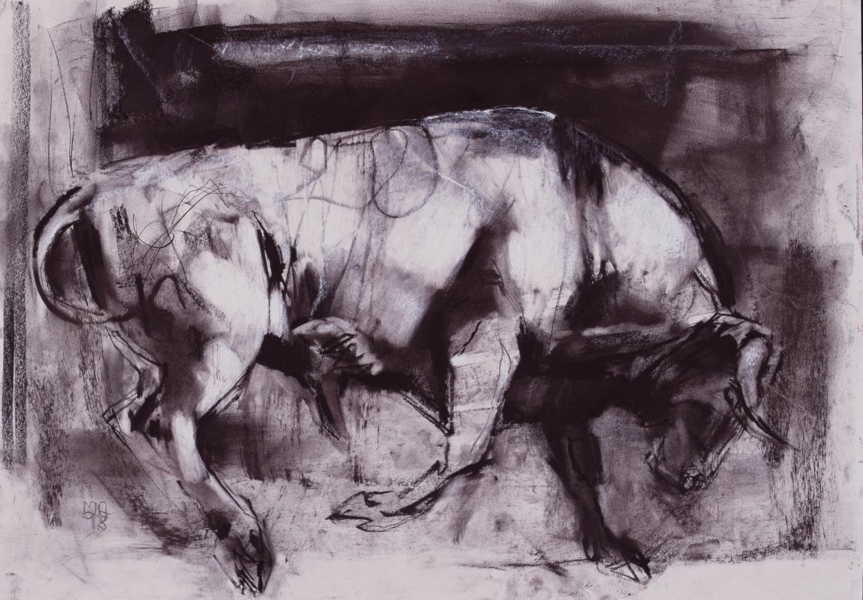 The White Bull (studie), 1998 (uhlí na papíře) od Mark Adlington