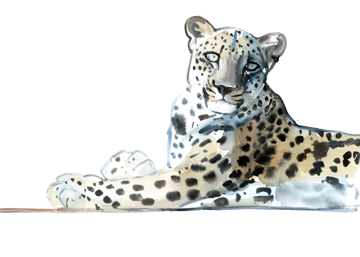 Tilt (arabský leopard), 2015, (akvarel a kvaš na papíře) od Mark Adlington