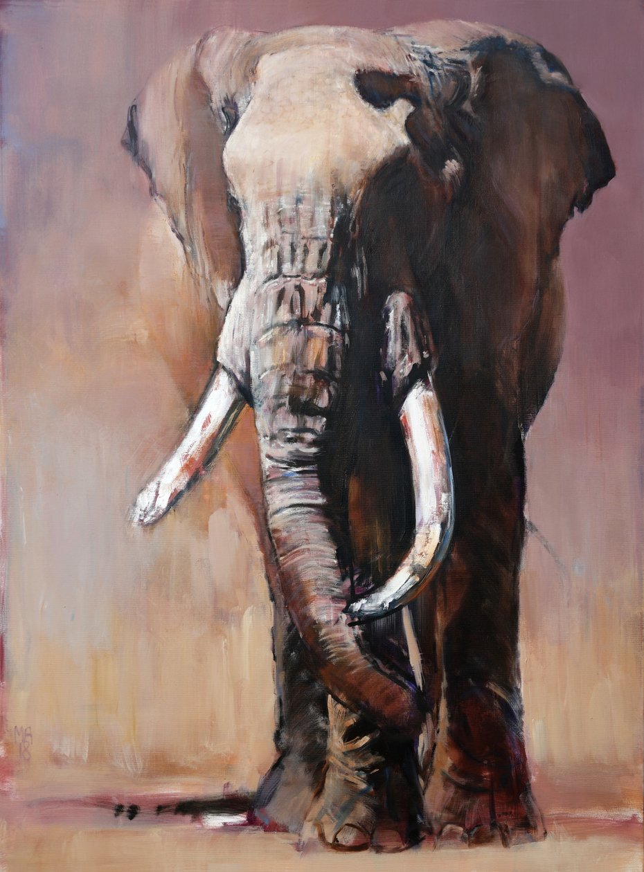Samostatně, Chyulu Hills, 2018 od Mark Adlington