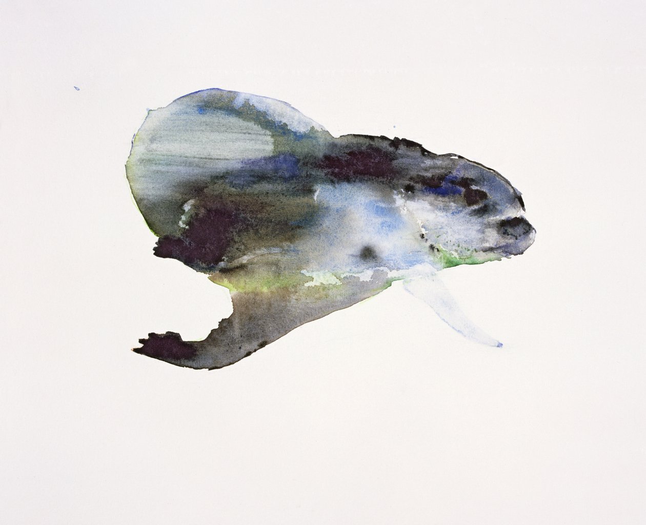 Pod vodou od Mark Adlington