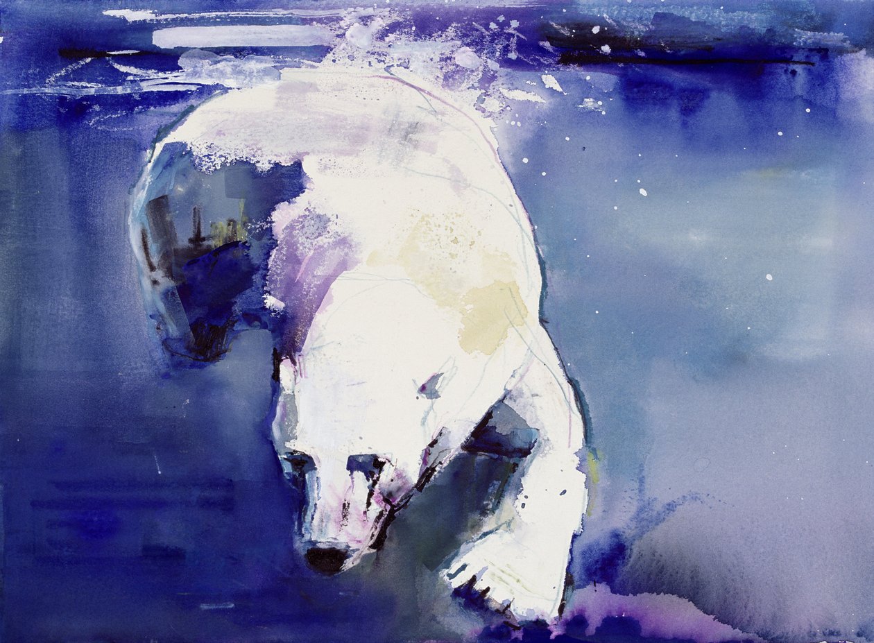 Underwater Bear, 1999 (kombinovaná média na papíře) od Mark Adlington