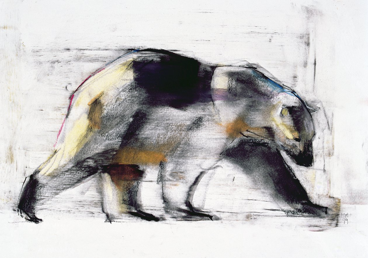 Ursus Maritimus, 1999 (uhlí a konte na papíře) od Mark Adlington