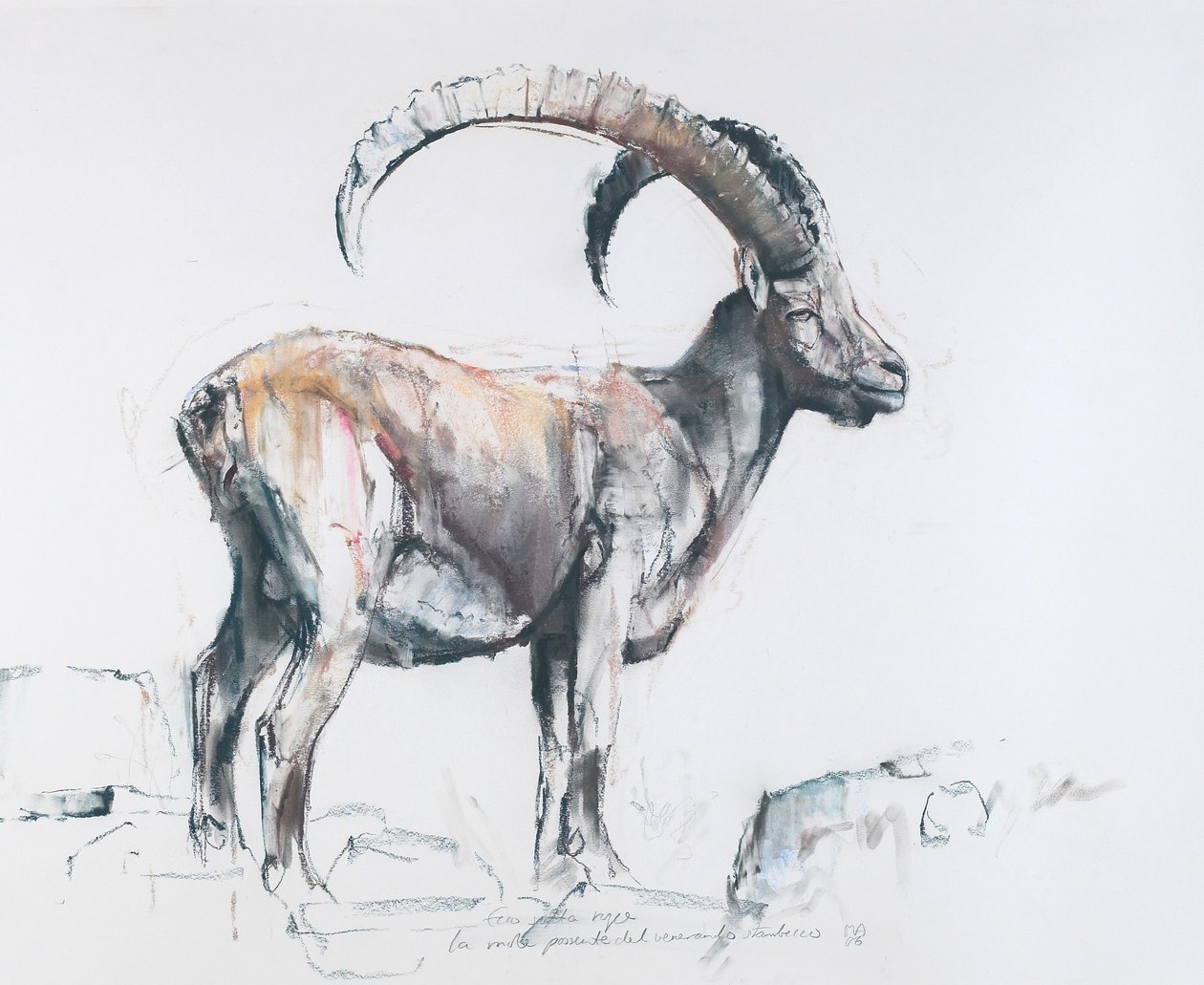 Venerando Stambecco, 2006 (charcoal und conte na papíře) od Mark Adlington