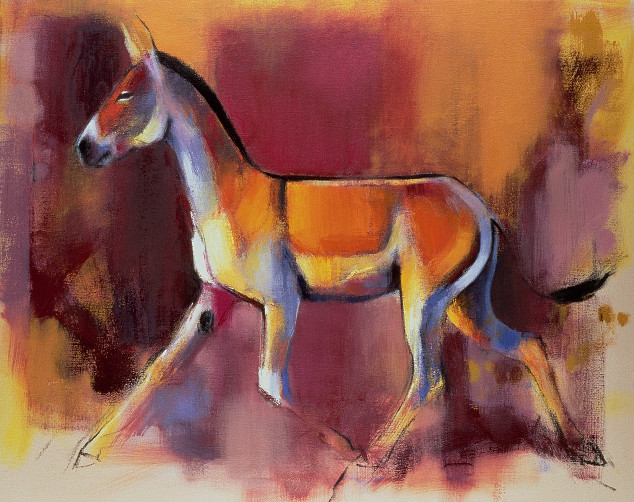 Wild Ass, Rann of Kutch, 1996 od Mark Adlington