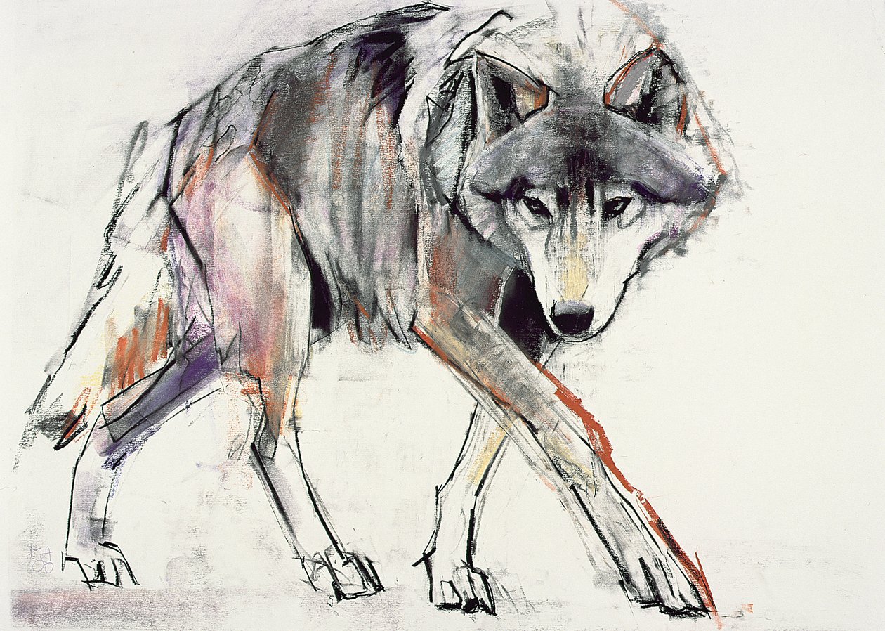 Wolf (kombinovaná média na papíře) od Mark Adlington