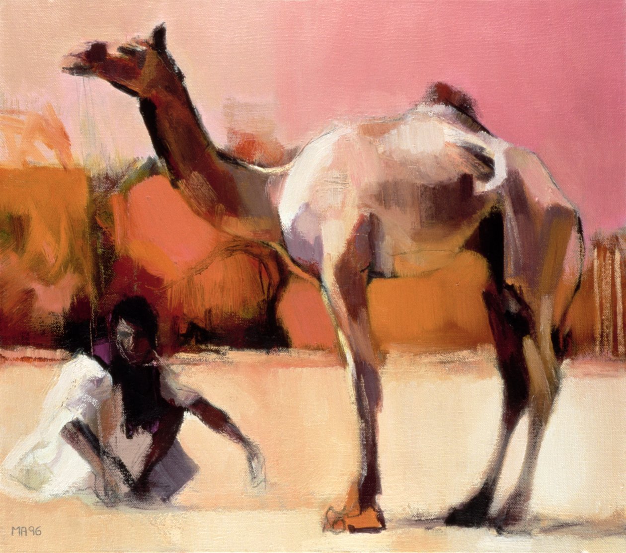 dsu a Said, Rann of Kutch, 1996 od Mark Adlington
