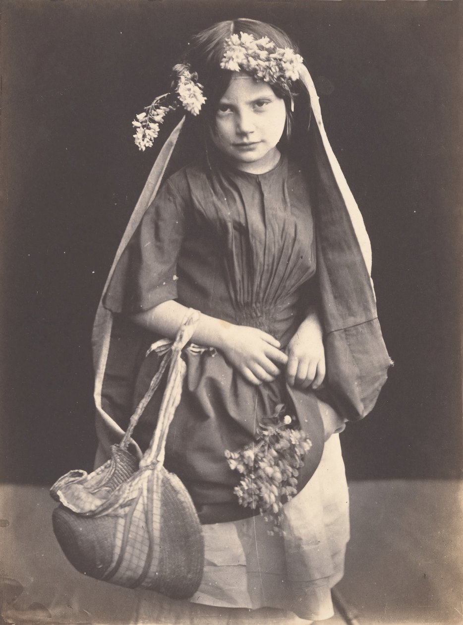 Divoké květiny, ca. 1857. od Mark Anthony