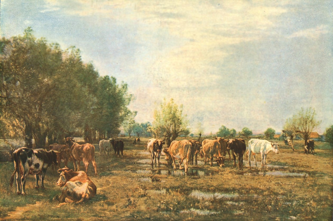 Fen Meadows with Cattle, 1877, c1930. od Mark Fisher
