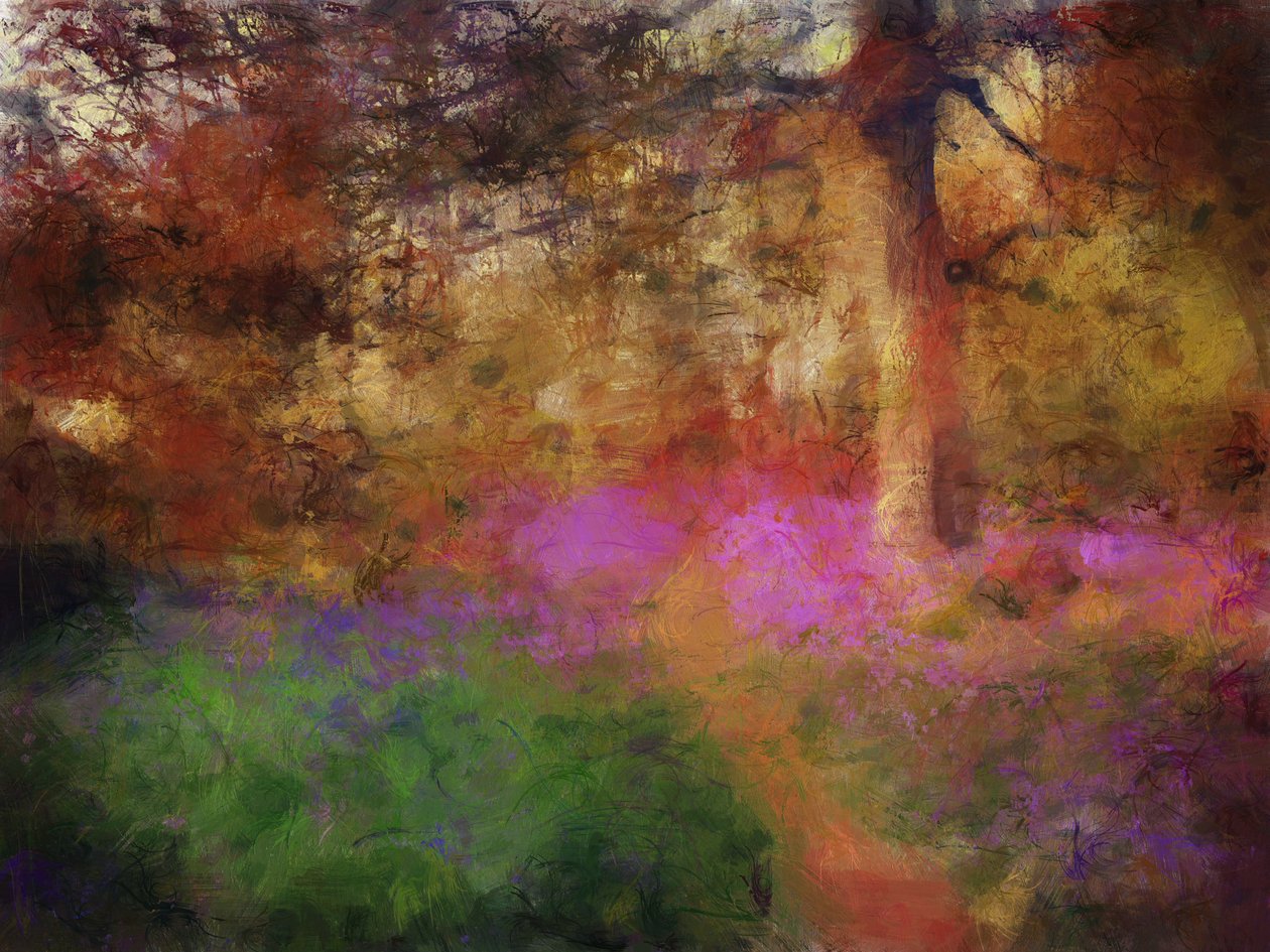 Bluebells at Calke Abbey (kombinovaná technika) od Mark Gordon