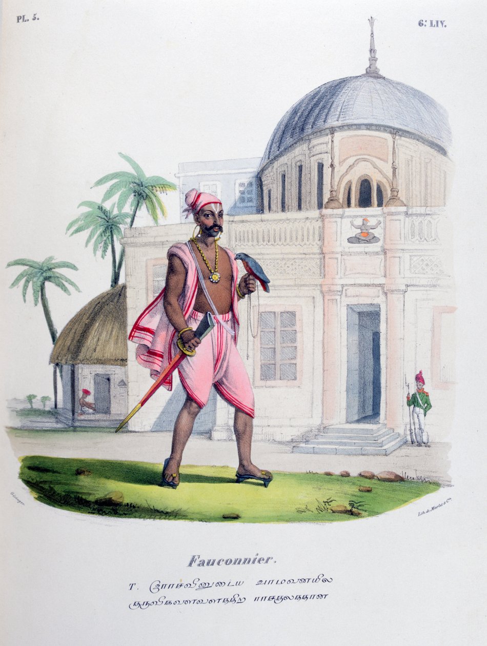 Falconer, 1828 od Marlet et Cie