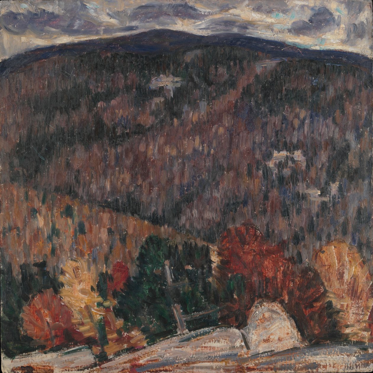 Krajina č. 25, k. 1908-9 od Marsden Hartley