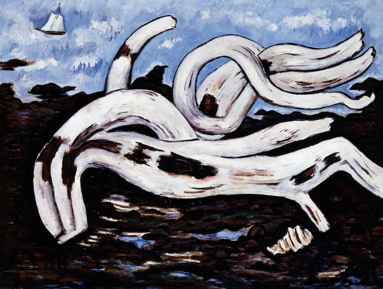 Driftwood na Bagaduce od Marsden Hartley