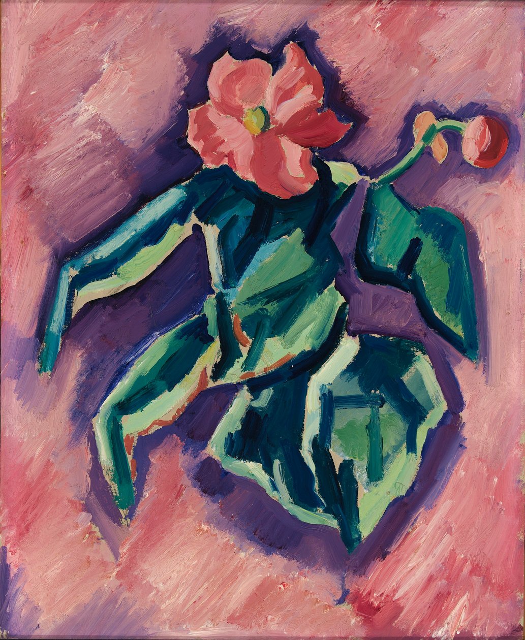 Rosa Begonien od Marsden Hartley