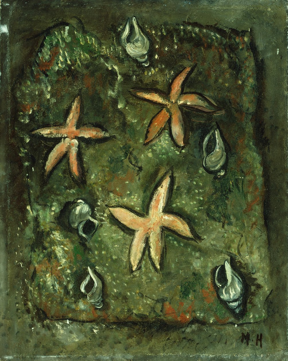 Hvězdice a mušle od Marsden Hartley