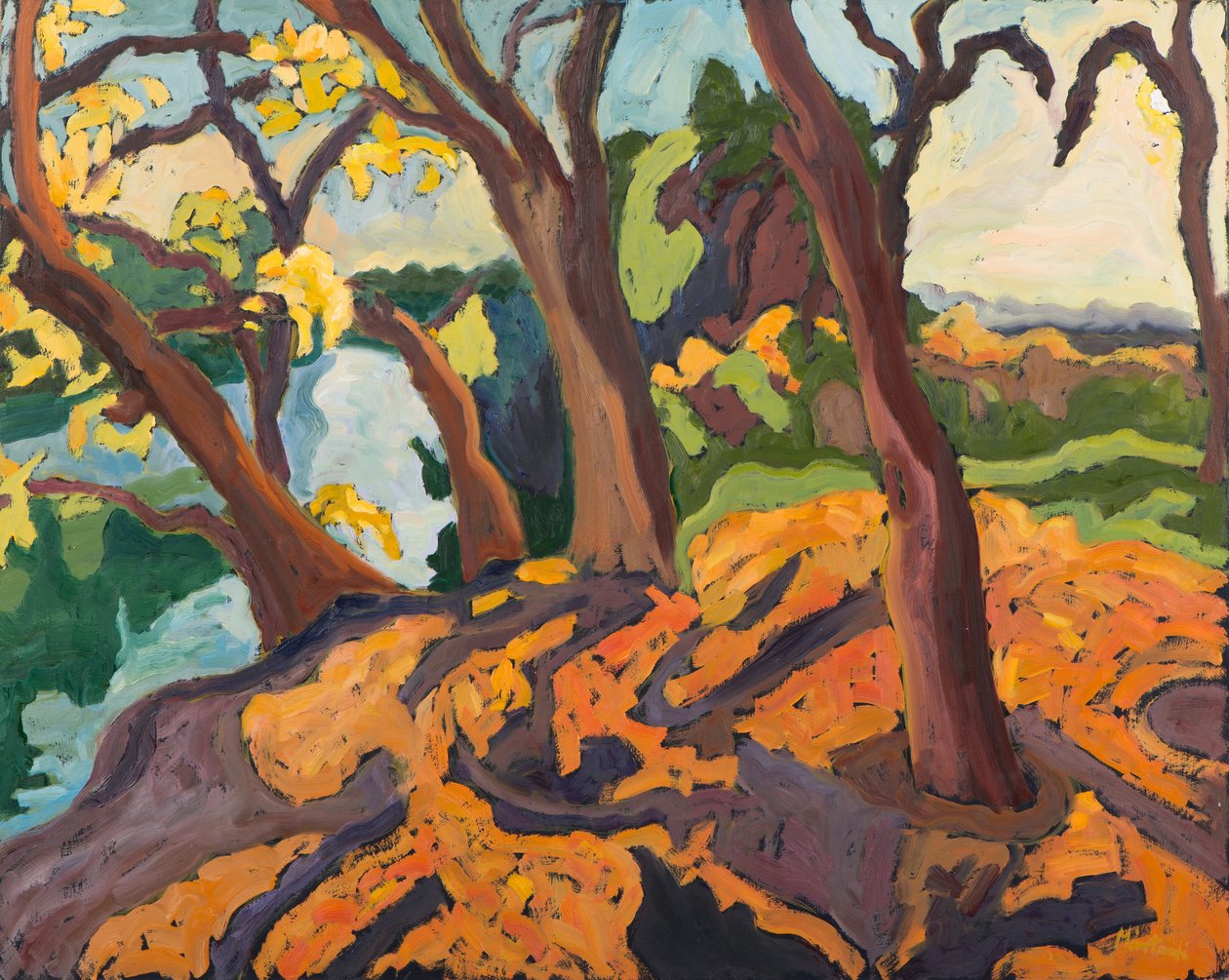 Stárnoucí stromy, 2009 od Marta Martonfi Benke