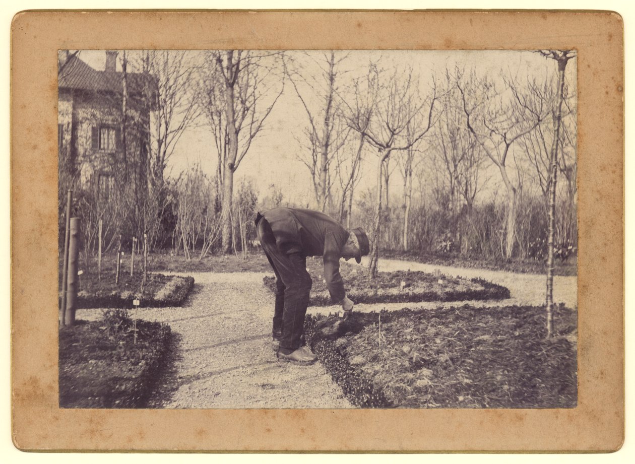Gustave Caillebotte (1848-94) zahradnictví v Petit Gennevilliers, únor 1892 (černobílá fotografie) od Martial Caillebotte