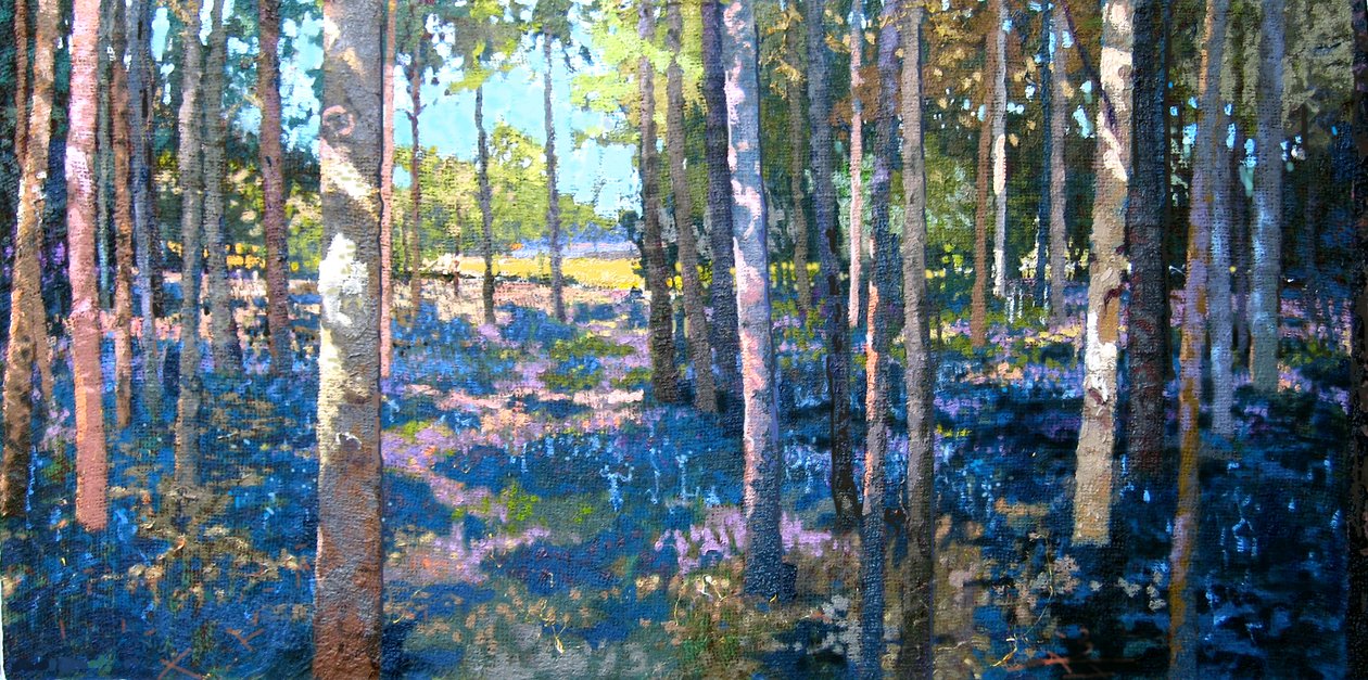 Bluebell Wood, 2009 od Martin Decent