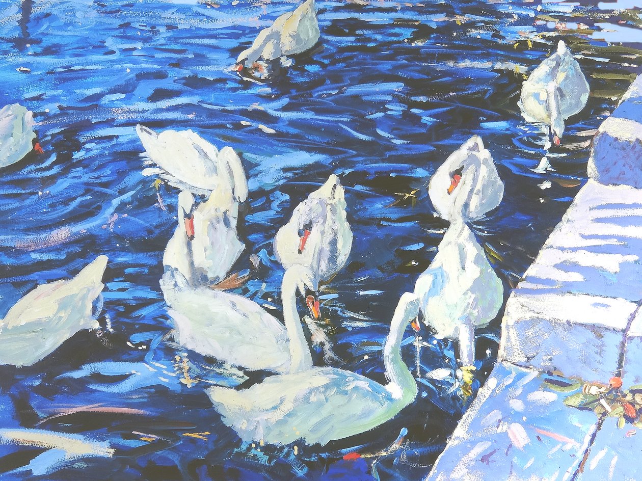 Swans, 2000 (kvaš na palubě) od Martin Decent