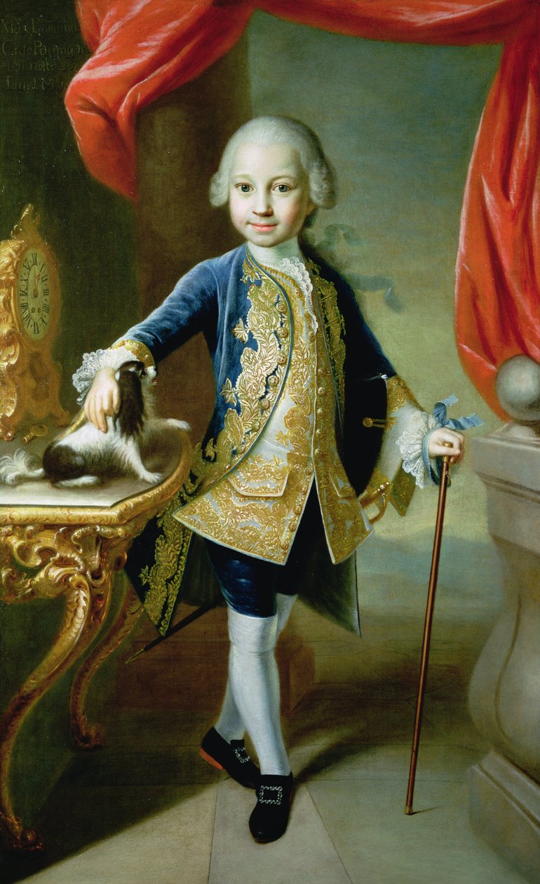 Portrét chlapce s domácím španělem, 18. století od Martin II Mytens or Meytens