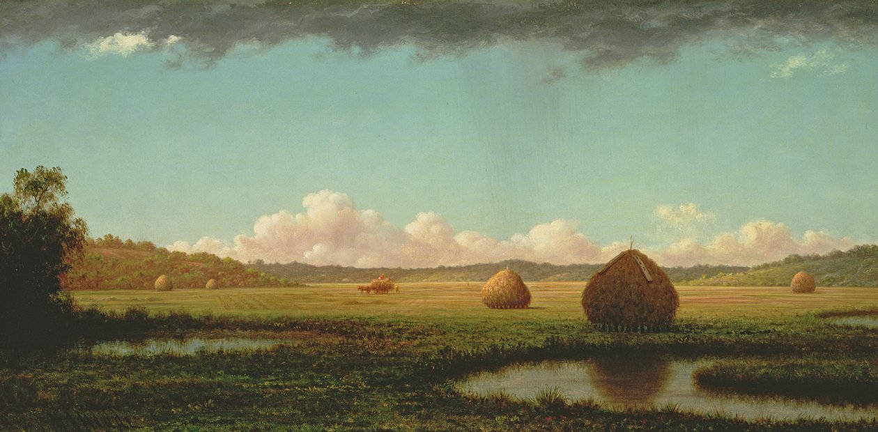 Letní přeháňky, kolem 1862-63 od Martin Johnson Heade