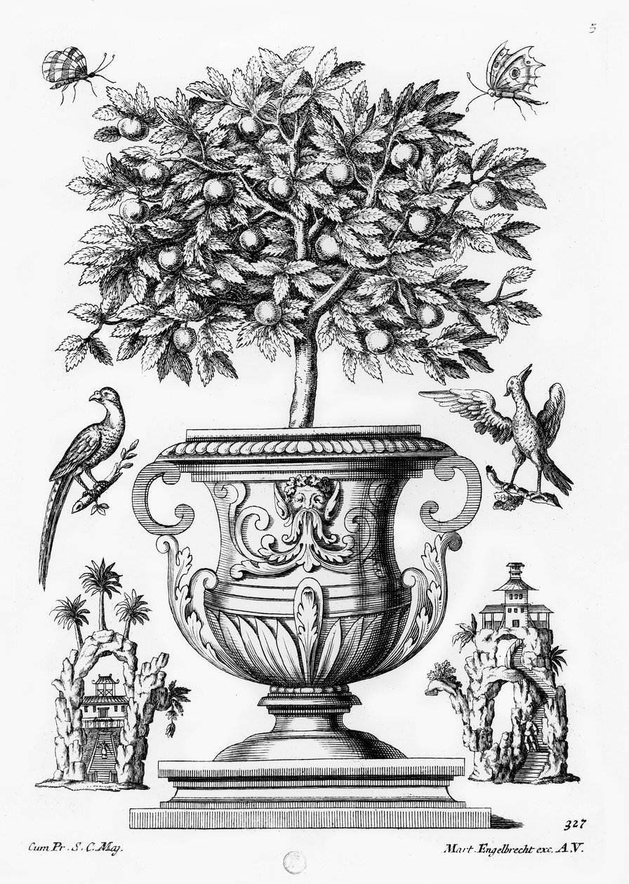 Citrusové stromy, kolem 1735 od Martin Engelbrecht