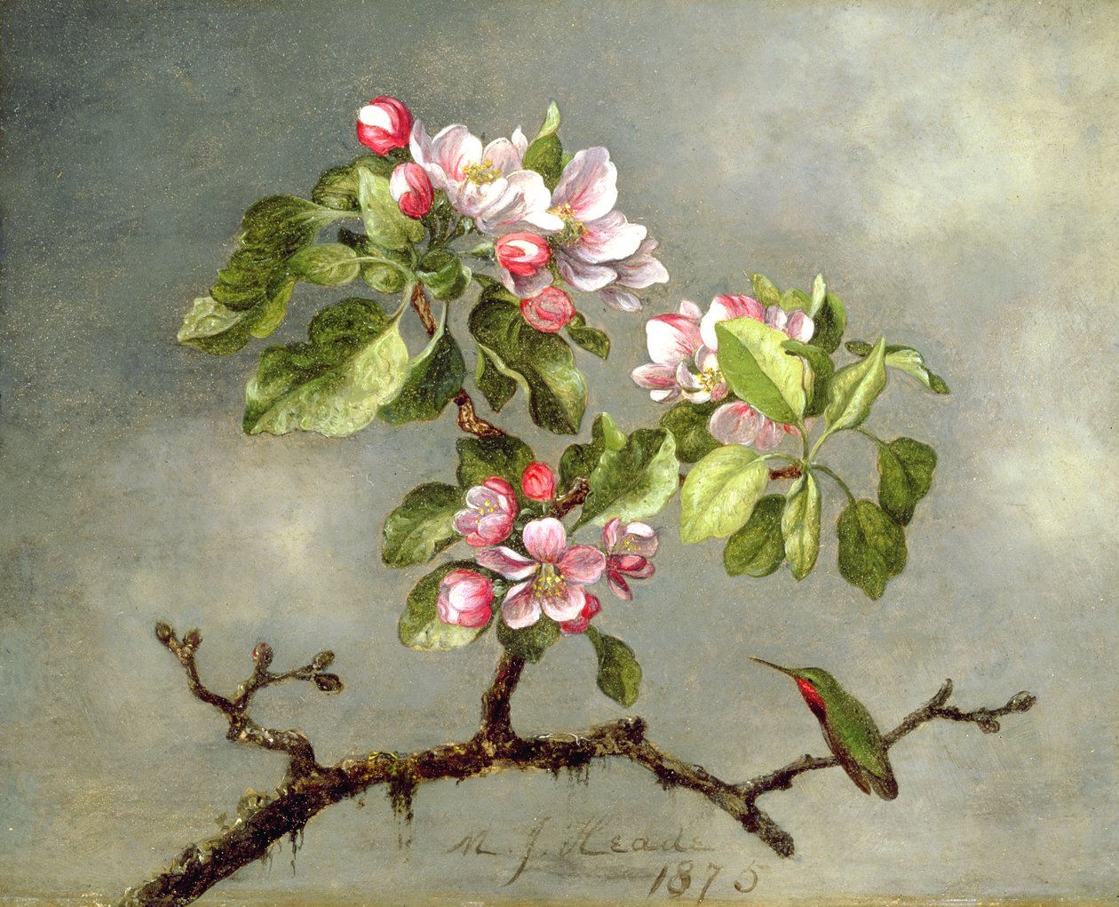 Jabloňové květy a kolibřík, 1875 od Martin Johnson Heade